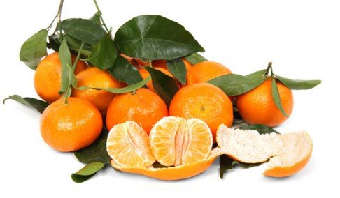 usne tropske mandarine 91