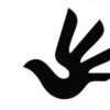 beogradjanin dizajnirao svetski logo za ljudska prava