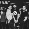 Mr.Rabbit promo by Darko Manasic
