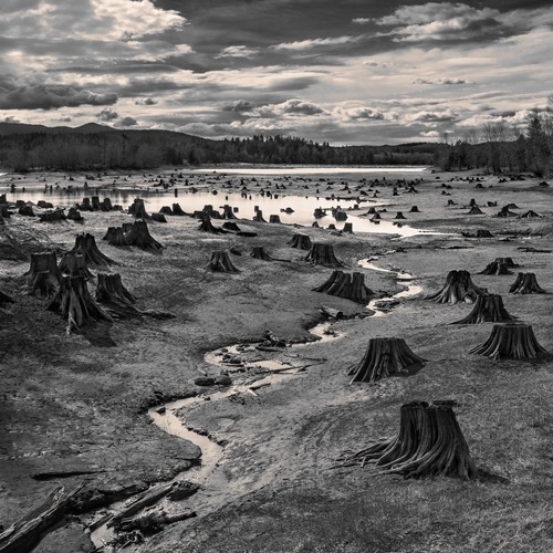 Hal Gejdz SAD fotografija Panjevi jezero Alder reka Niskuali Oregon