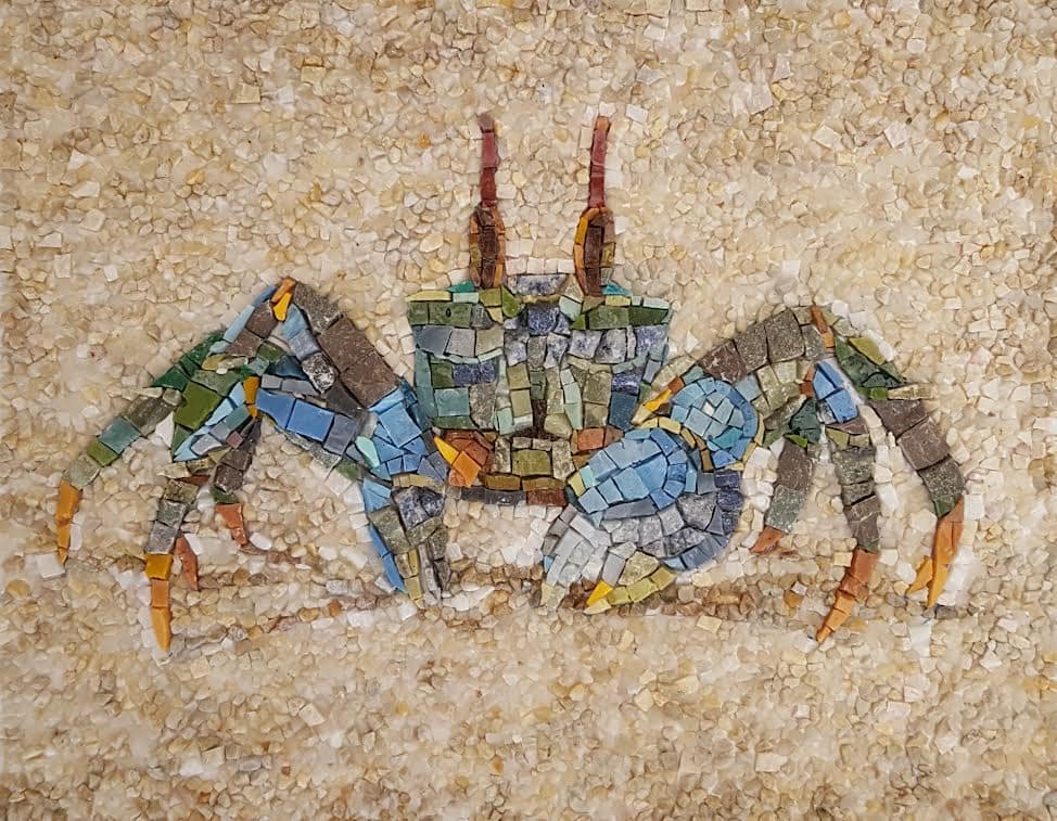 Vojna Baštovanović Casteel Plava kraba 25x20 cm