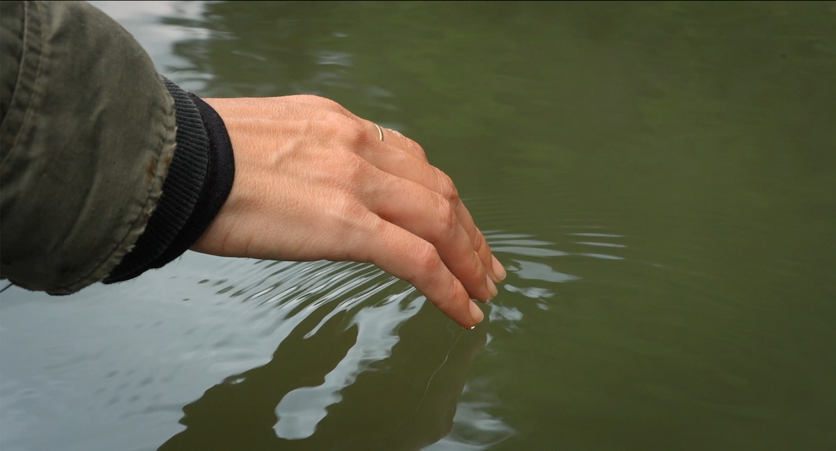 Hand in the Water Whanganui River